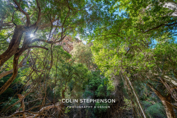 Environmental Photographer South Africa