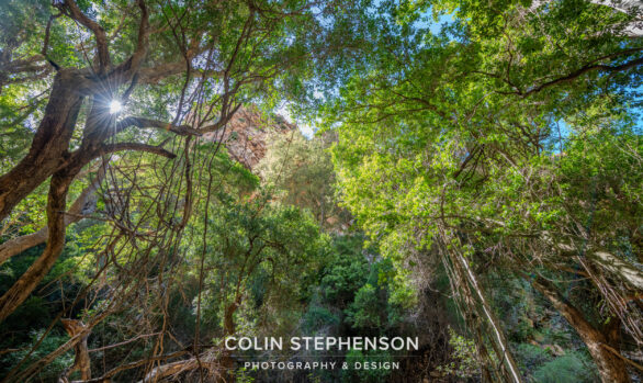 Environmental Photographer South Africa