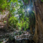 Environmental Photographer South Africa