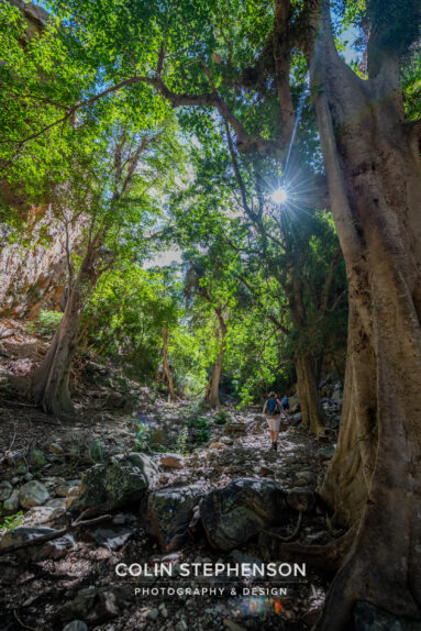 Environmental Photographer South Africa