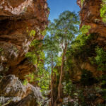 Environmental Photographer South Africa