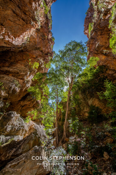 Environmental Photographer South Africa
