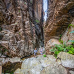 Environmental Photographer South Africa