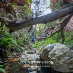 Environmental Photographer South Africa