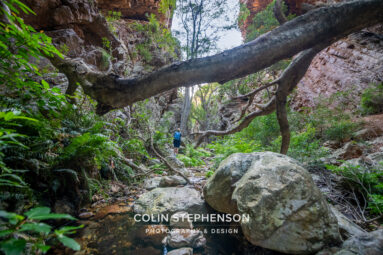Environmental Photographer South Africa