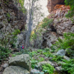 Environmental Photographer South Africa
