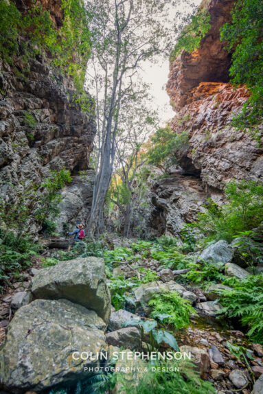 Environmental Photographer South Africa