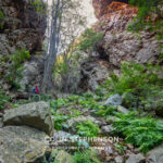 Environmental Photographer South Africa