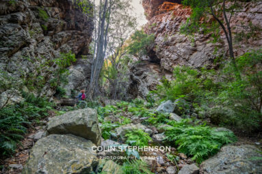 Environmental Photographer South Africa
