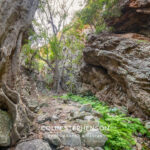 Environmental Photographer South Africa