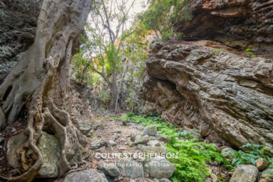 Environmental Photographer South Africa