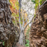 Environmental Photographer South Africa