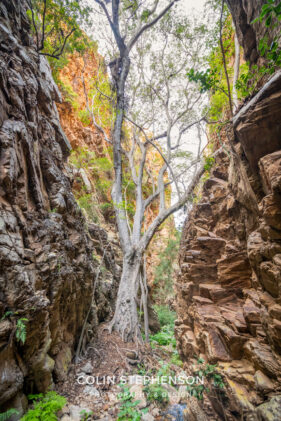 Environmental Photographer South Africa