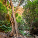 Environmental Photographer South Africa