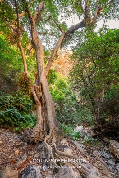 Environmental Photographer South Africa