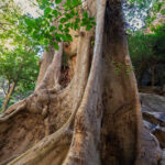 Environmental Photographer South Africa