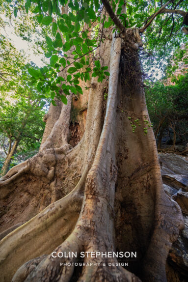 Environmental Photographer South Africa