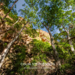 Environmental Photographer South Africa