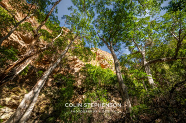 Environmental Photographer South Africa