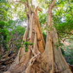 Environmental Photographer South Africa