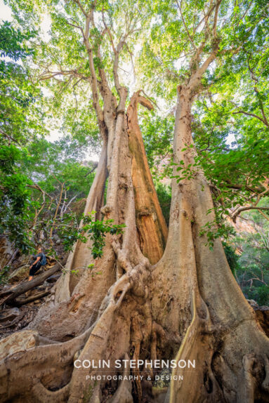Environmental Photographer South Africa