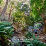 Environmental Photographer South Africa