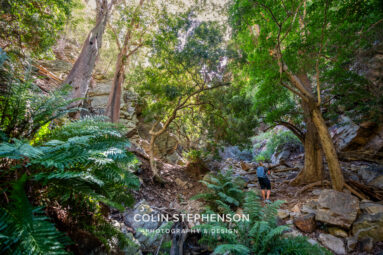 Environmental Photographer South Africa
