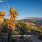 Environmental Photographer South Africa