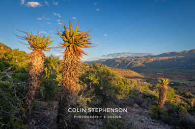 Environmental Photographer South Africa
