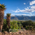 Environmental Photographer South Africa