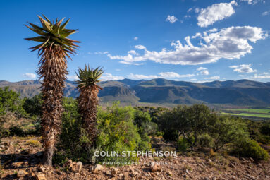 Environmental Photographer South Africa