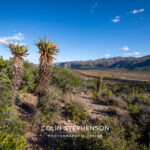 Environmental Photographer South Africa