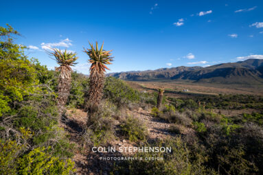 Environmental Photographer South Africa