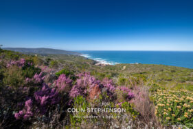 Property photographer Knysna