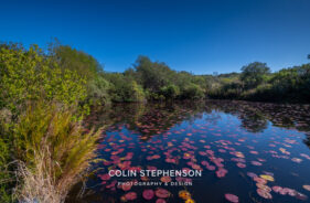 Property photographer Knysna