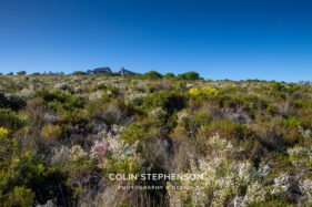 Property photographer Knysna