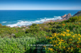 Property photographer Knysna