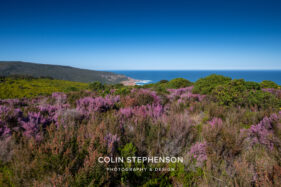 Property photographer Knysna