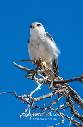Environmental Photographer Africa