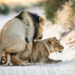 Environmental Photographer Africa