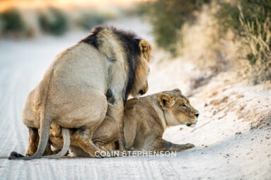 Environmental Photographer Africa