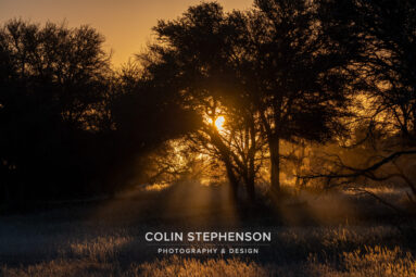 Environmental Photographer Africa
