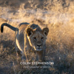 Environmental Photographer Africa