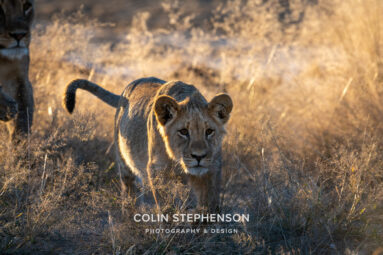 Environmental Photographer Africa
