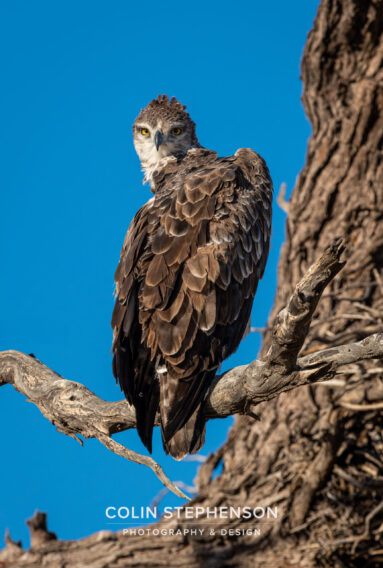 Environmental Photographer Africa