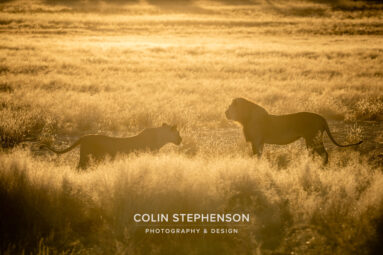 Environmental Photographer Africa