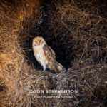 Environmental Photographer Africa
