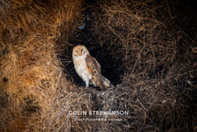 Environmental Photographer Africa