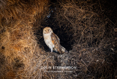 Environmental Photographer Africa