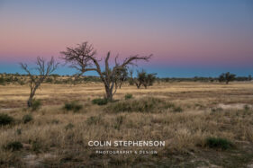 Environmental Photographer Africa